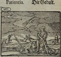 Picture 29 of 39 from Joh. Amos Comenii Orbis Sensualium Pictus Trilinguis: Hoc est: Omnium fundamentalium in mundo rerum, & in vita actionum, Pictura & Nomenclatura Latina, Germanica & Hungarica, Cum Titulorum juxta atque Vocabulorum Indice (1708), leaf 254