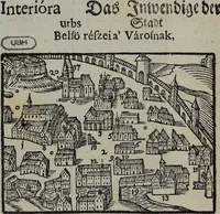 Picture 31 of 39 from Joh. Amos Comenii Orbis Sensualium Pictus Trilinguis: Hoc est: Omnium fundamentalium in mundo rerum, & in vita actionum, Pictura & Nomenclatura Latina, Germanica & Hungarica, Cum Titulorum juxta atque Vocabulorum Indice (1708), leaf 272