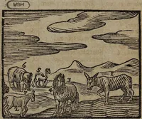 An illustration from Joh. Amos Comenii Orbis Sensualium Pictus Trilinguis: Hoc est: Omnium fundamentalium in mundo rerum, & in vita actionum, Pictura & Nomenclatura Latina, Germanica & Hungarica, Cum Titulorum juxta atque Vocabulorum Indice (1708)