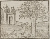 Picture 49 of 168 from Johann Lange ; Giovanni Boccaccio (Druck) ; Johannes Adelphus (Druck) ; Thomas Lirer (Druck) ; Johannes de Capua (Druck) ; Jacobus de Cessolis (Druck), leaf 433