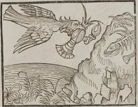Picture 54 of 168 from Johann Lange ; Giovanni Boccaccio (Druck) ; Johannes Adelphus (Druck) ; Thomas Lirer (Druck) ; Johannes de Capua (Druck) ; Jacobus de Cessolis (Druck), leaf 441