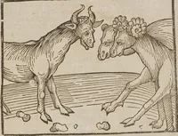 Picture 60 of 168 from Johann Lange ; Giovanni Boccaccio (Druck) ; Johannes Adelphus (Druck) ; Thomas Lirer (Druck) ; Johannes de Capua (Druck) ; Jacobus de Cessolis (Druck), leaf 451