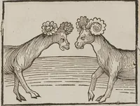 Picture 66 of 168 from Johann Lange ; Giovanni Boccaccio (Druck) ; Johannes Adelphus (Druck) ; Thomas Lirer (Druck) ; Johannes de Capua (Druck) ; Jacobus de Cessolis (Druck), leaf 463