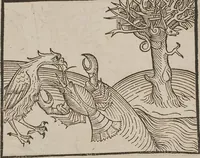 Picture 71 of 168 from Johann Lange ; Giovanni Boccaccio (Druck) ; Johannes Adelphus (Druck) ; Thomas Lirer (Druck) ; Johannes de Capua (Druck) ; Jacobus de Cessolis (Druck), leaf 469