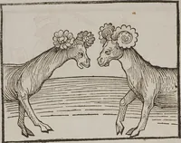 Picture 75 of 168 from Johann Lange ; Giovanni Boccaccio (Druck) ; Johannes Adelphus (Druck) ; Thomas Lirer (Druck) ; Johannes de Capua (Druck) ; Jacobus de Cessolis (Druck), leaf 474