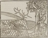 An illustration from Johann Lange ; Giovanni Boccaccio (Druck) ; Johannes Adelphus (Druck) ; Thomas Lirer (Druck) ; Johannes de Capua (Druck) ; Jacobus de Cessolis (Druck)