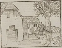 Picture 93 of 168 from Johann Lange ; Giovanni Boccaccio (Druck) ; Johannes Adelphus (Druck) ; Thomas Lirer (Druck) ; Johannes de Capua (Druck) ; Jacobus de Cessolis (Druck), leaf 507