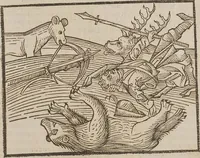 Picture 95 of 168 from Johann Lange ; Giovanni Boccaccio (Druck) ; Johannes Adelphus (Druck) ; Thomas Lirer (Druck) ; Johannes de Capua (Druck) ; Jacobus de Cessolis (Druck), leaf 511