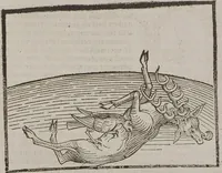 Picture 97 of 168 from Johann Lange ; Giovanni Boccaccio (Druck) ; Johannes Adelphus (Druck) ; Thomas Lirer (Druck) ; Johannes de Capua (Druck) ; Jacobus de Cessolis (Druck), leaf 519
