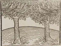 Picture 98 of 168 from Johann Lange ; Giovanni Boccaccio (Druck) ; Johannes Adelphus (Druck) ; Thomas Lirer (Druck) ; Johannes de Capua (Druck) ; Jacobus de Cessolis (Druck), leaf 520