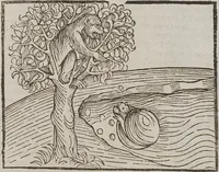 Picture 111 of 168 from Johann Lange ; Giovanni Boccaccio (Druck) ; Johannes Adelphus (Druck) ; Thomas Lirer (Druck) ; Johannes de Capua (Druck) ; Jacobus de Cessolis (Druck), leaf 545