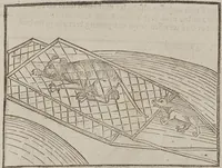 Picture 118 of 168 from Johann Lange ; Giovanni Boccaccio (Druck) ; Johannes Adelphus (Druck) ; Thomas Lirer (Druck) ; Johannes de Capua (Druck) ; Jacobus de Cessolis (Druck), leaf 559