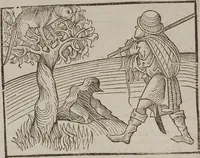 Picture 119 of 168 from Johann Lange ; Giovanni Boccaccio (Druck) ; Johannes Adelphus (Druck) ; Thomas Lirer (Druck) ; Johannes de Capua (Druck) ; Jacobus de Cessolis (Druck), leaf 560