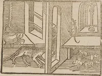 Picture 153 of 168 from Johann Lange ; Giovanni Boccaccio (Druck) ; Johannes Adelphus (Druck) ; Thomas Lirer (Druck) ; Johannes de Capua (Druck) ; Jacobus de Cessolis (Druck), leaf 621