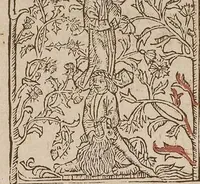 Picture 158 of 168 from Johann Lange ; Giovanni Boccaccio (Druck) ; Johannes Adelphus (Druck) ; Thomas Lirer (Druck) ; Johannes de Capua (Druck) ; Jacobus de Cessolis (Druck), leaf 627