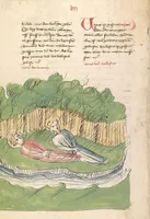 Picture 139 of 147 from "Elsässische Legenda Aurea" (1419), leaf 808
