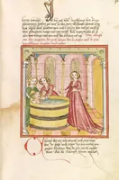 Picture 55 of 216 from Herpin (1470), leaf 199