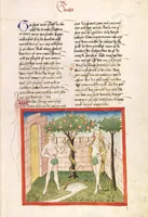 Picture 4 of 69 from Bücher Mose, Josua, Richter, Ruth (1477), leaf 31