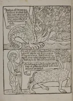 Picture 5 of 8 from Apokalypse, lat. (Blockbuch) (1469), leaf 48