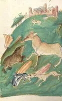 Picture 6 of 77 from Das Buch der Natur (1442), leaf 176