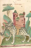 Picture 11 of 77 from Das Buch der Natur (1442), leaf 207
