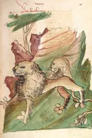 An illustration from Das Buch der Natur (1442)