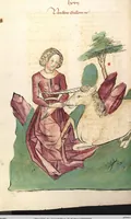 Picture 16 of 77 from Das Buch der Natur (1442), leaf 248
