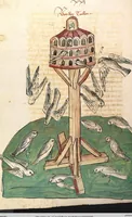 Picture 20 of 77 from Das Buch der Natur (1442), leaf 282
