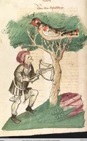 Picture 21 of 77 from Das Buch der Natur (1442), leaf 288