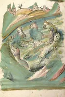 Picture 30 of 77 from Das Buch der Natur (1442), leaf 364