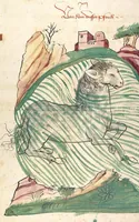Picture 32 of 77 from Das Buch der Natur (1442), leaf 374