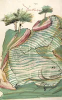 Picture 35 of 77 from Das Buch der Natur (1442), leaf 404