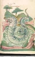 Picture 38 of 77 from Das Buch der Natur (1442), leaf 429