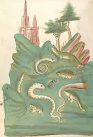 Picture 41 of 77 from Das Buch der Natur (1442), leaf 462