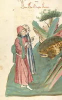 Picture 42 of 77 from Das Buch der Natur (1442), leaf 474