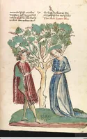 An illustration from Das Buch der Natur (1442)