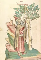 An illustration from Das Buch der Natur (1442)