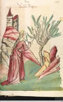An illustration from Das Buch der Natur (1442)