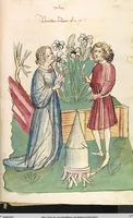 An illustration from Das Buch der Natur (1442)