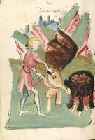 An illustration from Das Buch der Natur (1442)