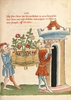 Picture 28 of 37 from Flore und Blanscheflur (1442), leaf 311