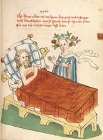 Picture 29 of 37 from Flore und Blanscheflur (1442), leaf 345