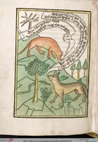 Picture 118 of 129 from 'Heidelberger Bilderkatechismus' (Handschrift) ; Biblia pauperum (Blockbuch) ; Totentanz (Blockbuch) u.a. (1455), leaf 332