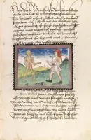 Picture 14 of 23 from Der Ackermann aus Böhmen (1470), leaf 31