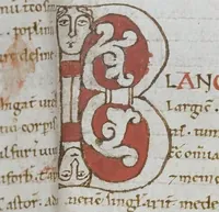 An illustration from Medizinische Sammelhandschrift