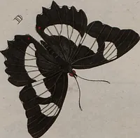 Picture 14 of 169 from (Band 1, Tafeln): De plaaten I - XCVI (1779), leaf 10