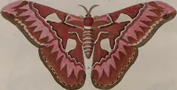 Picture 15 of 169 from (Band 1, Tafeln): De plaaten I - XCVI (1779), leaf 10