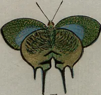 Picture 140 of 169 from (Band 1, Tafeln): De plaaten I - XCVI (1779), leaf 78