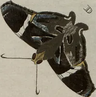 Picture 151 of 169 from (Band 1, Tafeln): De plaaten I - XCVI (1779), leaf 82