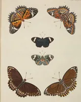 An illustration from (Band 4, Tafeln): De plaaten CCLXXXIX - CCCC (1782)